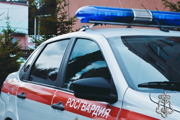 В Иркутске росгвардейцы предотвратили пожар в магазине