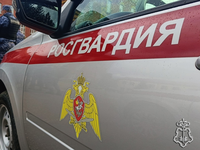 Сотрудники Росгвардии из Иркутска задержали подозреваемого в краже 50-ти плиток шоколада 